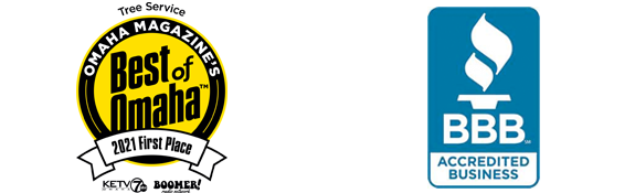 Hughes Tree Service Omaha
