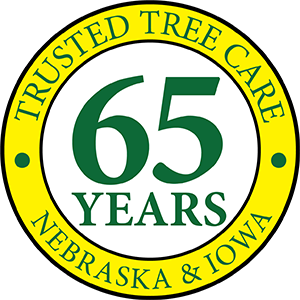 65 years icon